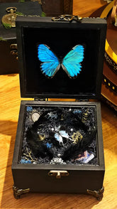 Handmade Butterfly Music Box – Wind-Up Keepsake with Real Specimen🎁